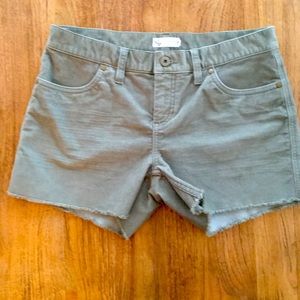 Carve Designs Olive Green Women Shorts
